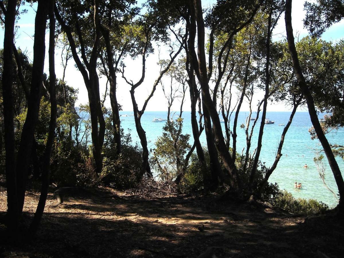 Dolce Vita Campiglia Marittima Exteriér fotografie