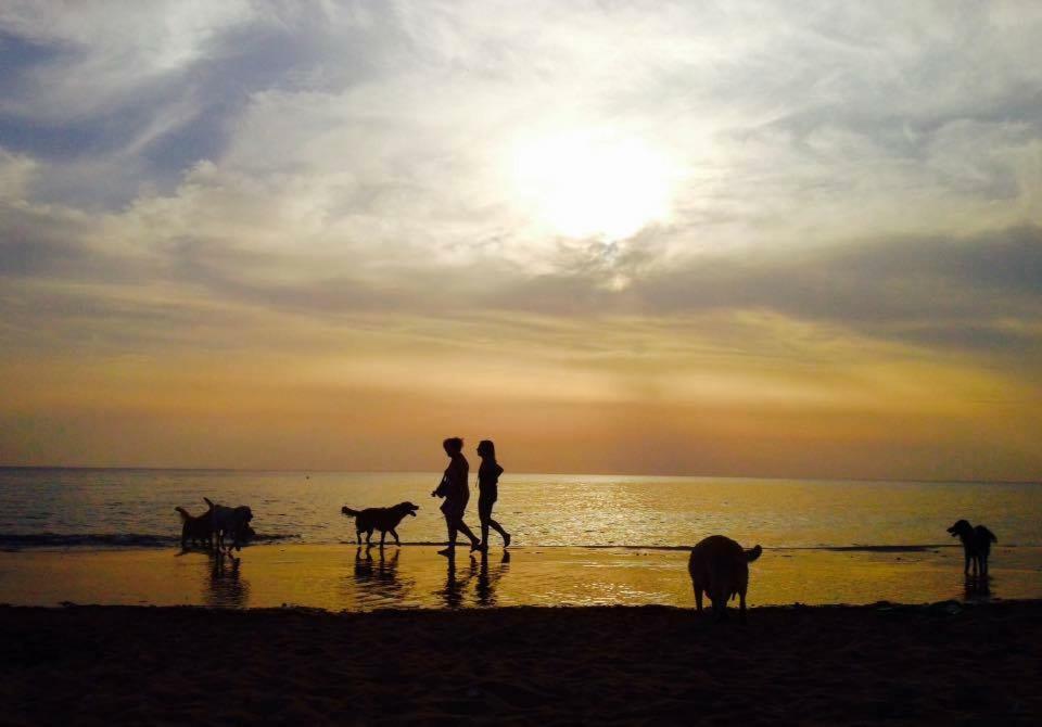 Dolce Vita Campiglia Marittima Exteriér fotografie