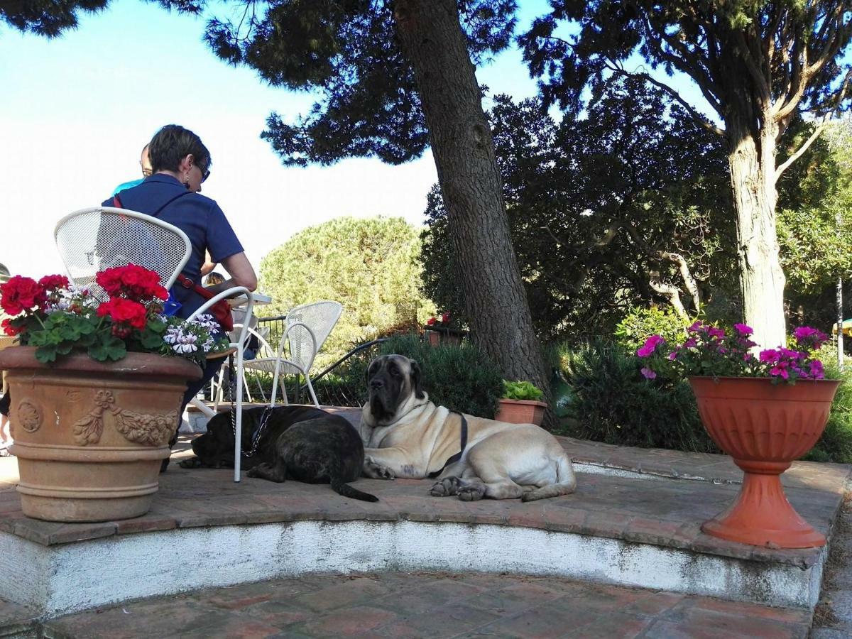 Dolce Vita Campiglia Marittima Exteriér fotografie