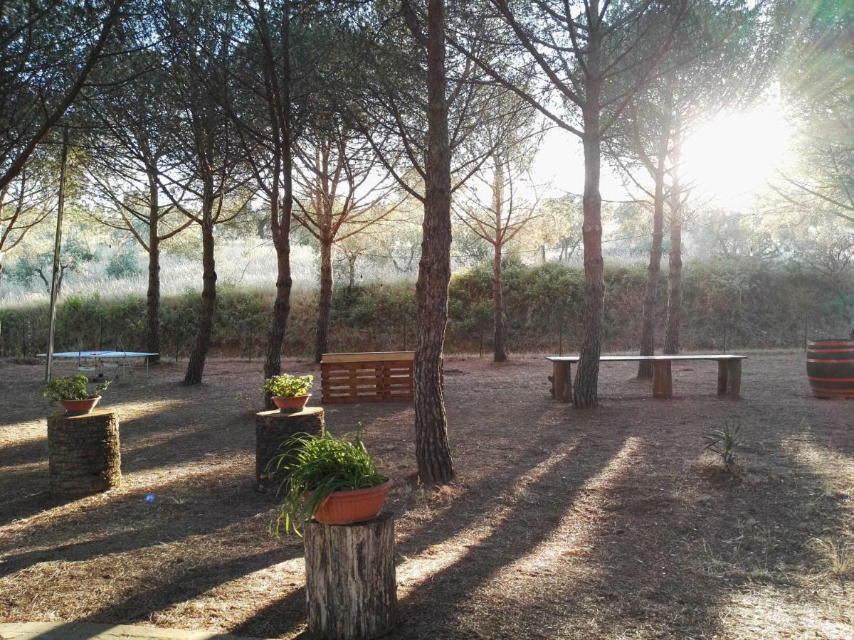 Dolce Vita Campiglia Marittima Exteriér fotografie